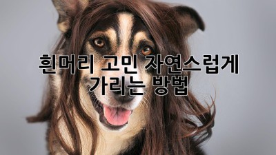 흰머리 고민? 자연스럽게 가리는 방법!