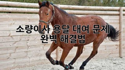 소량이사, 용달 대여 문제? 🤔 완벽 해결법! 🚚💨